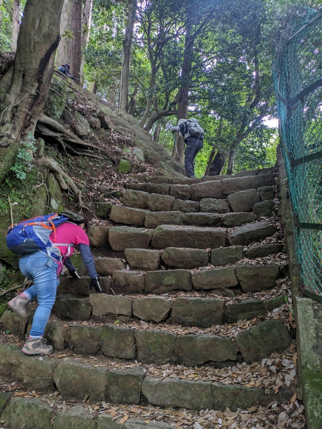 富士山登山するためのトレーニングとして丹沢大山!!