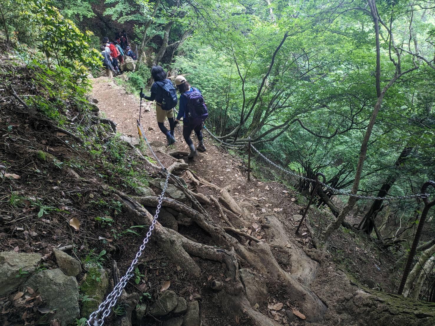 富士山登山するためのトレーニングとして丹沢大山!!